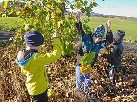 Listopad ve ŠD 9.11.2023, foto: Nepivodová Dana